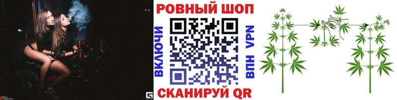  COCAIN Ахтубинск