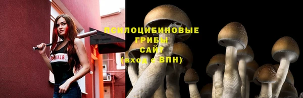 тгк Киренск