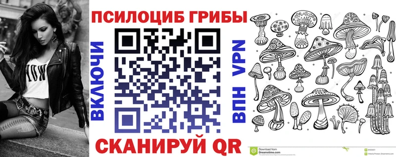 Купить  Ахтубинск  Галлюциногенные грибы GOLDEN TEACHER 