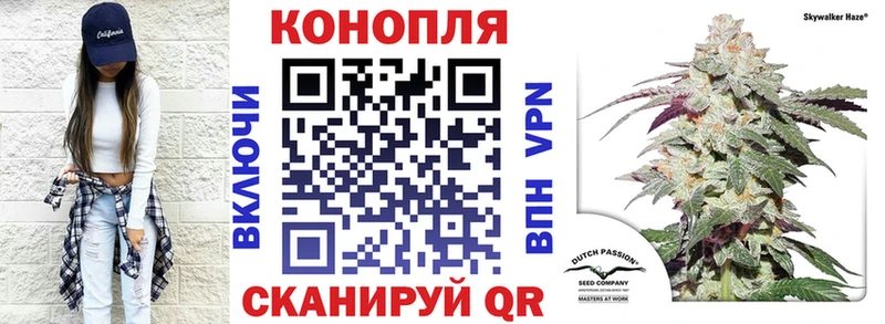 Канабис Amnesia  Купить закладки  Ахтубинск 